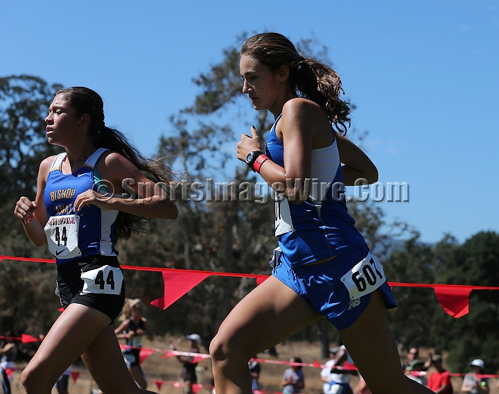 2015SIxcHSSeeded-238.JPG - 2015 Stanford Cross Country Invitational, September 26, Stanford Golf Course, Stanford, California.